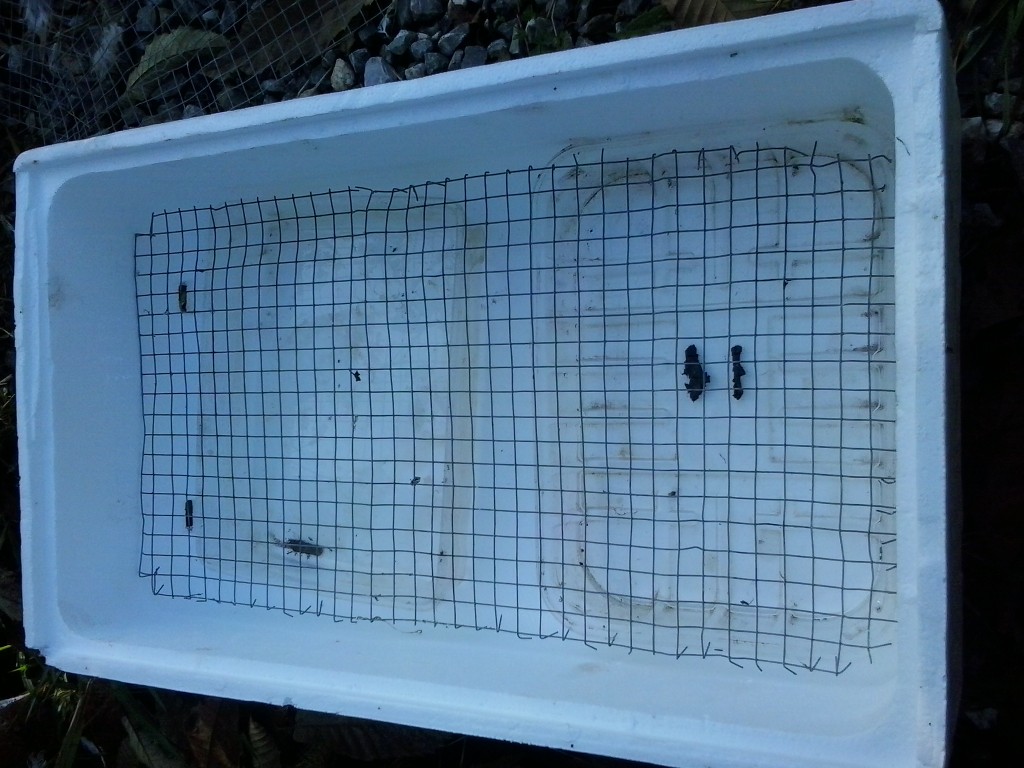 incubadora parte inferior