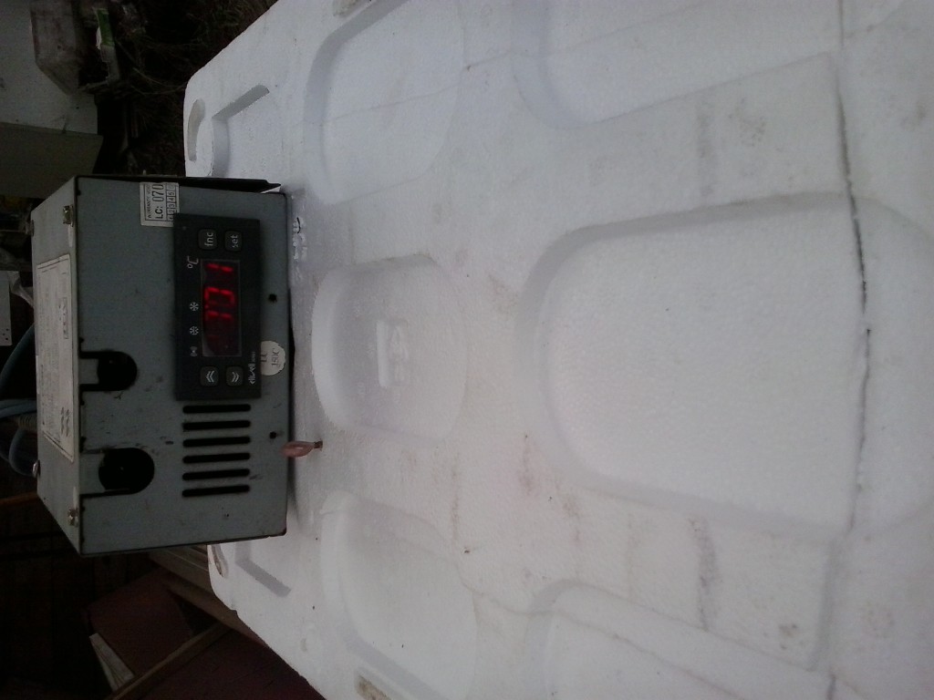 incubadora a 100º F.