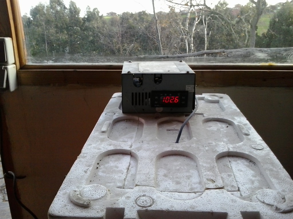 incubadora en marcha